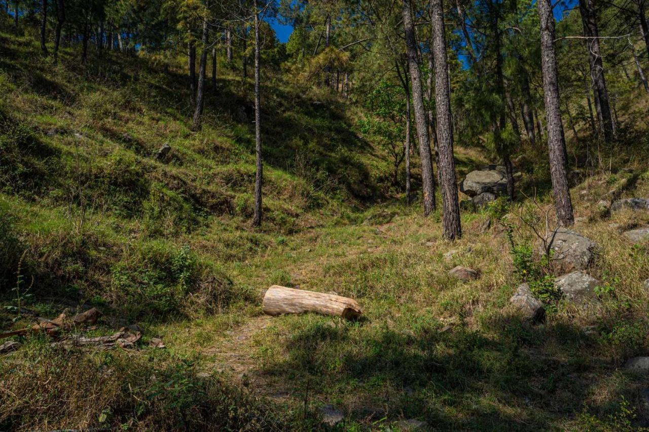 Stayvista At Floradale W Jacuzzi & Wood-Fire Pizza Kasauli Esterno foto